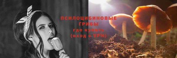 МДПВ Новодвинск