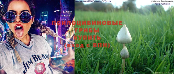 МДПВ Новодвинск