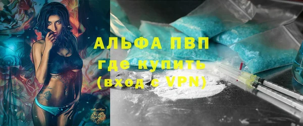 PSILOCYBIN Павловск