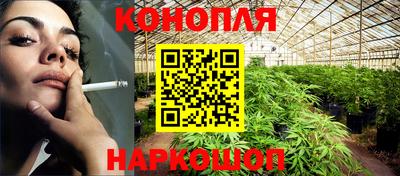 шишки Апшеронск