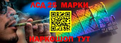 шишки Апшеронск