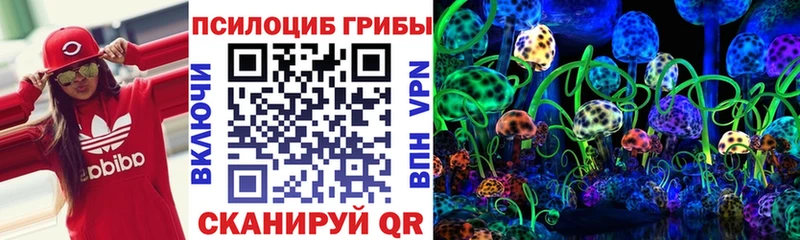 МЕГА сайт  Аша  Псилоцибиновые грибы Psilocybine cubensis  цена наркотик 