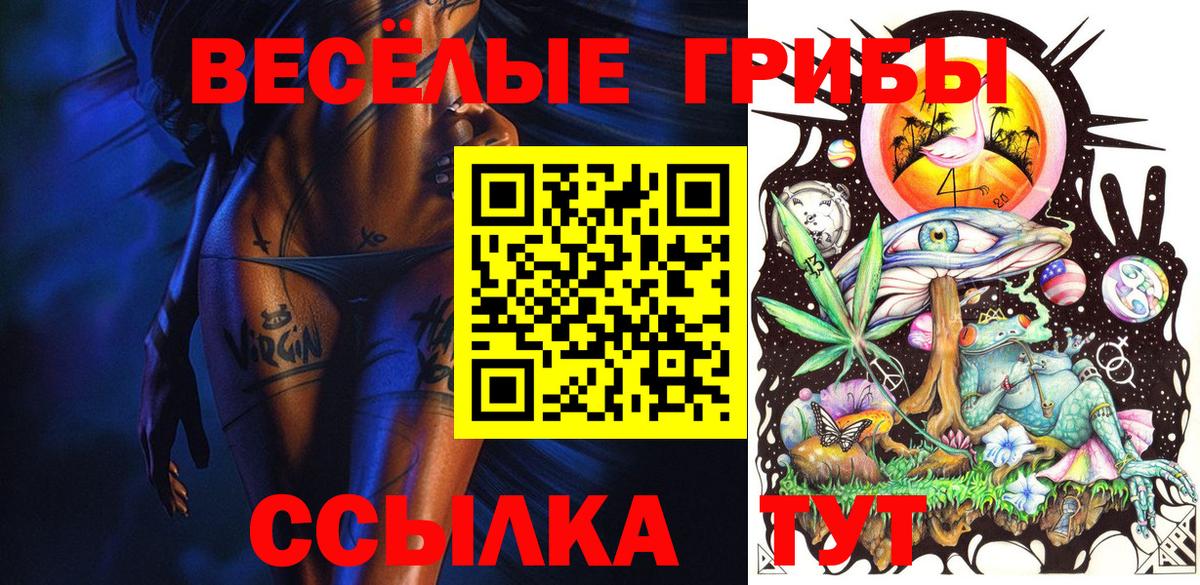 Псилоцибиновые грибы Psilocybe Аша