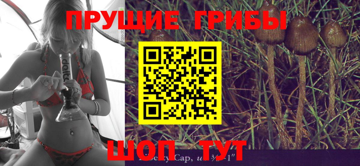 Галлюциногенные грибы Magic Shrooms  Галлюциногенные грибы Psilocybine cubensis  где найти   Аша 