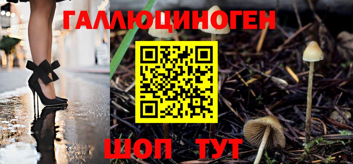 Галлюциногенные грибы Magic Shrooms Аша
