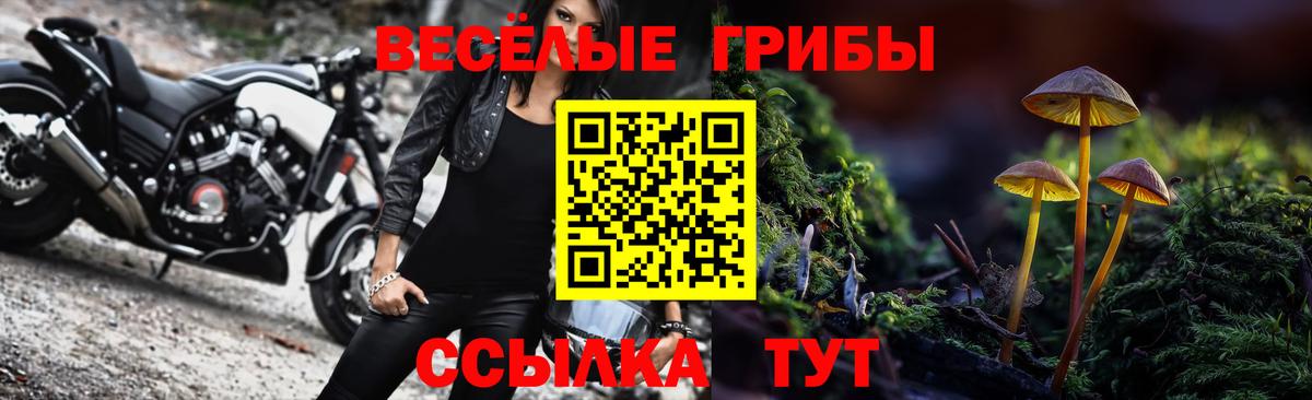 где продают наркотики  Псилоцибиновые грибы Cubensis  Вход с VPN  Аша  Галлюциногенные грибы прущие грибы 