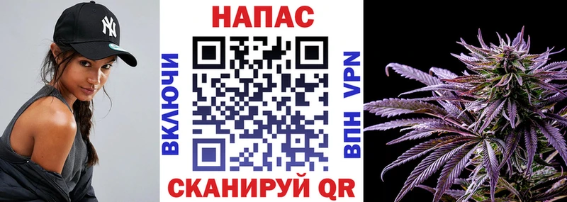 МЕГА ссылка Аша Канабис SATIVA & INDICA